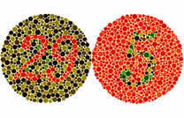 Rot-Grün-Blindheit